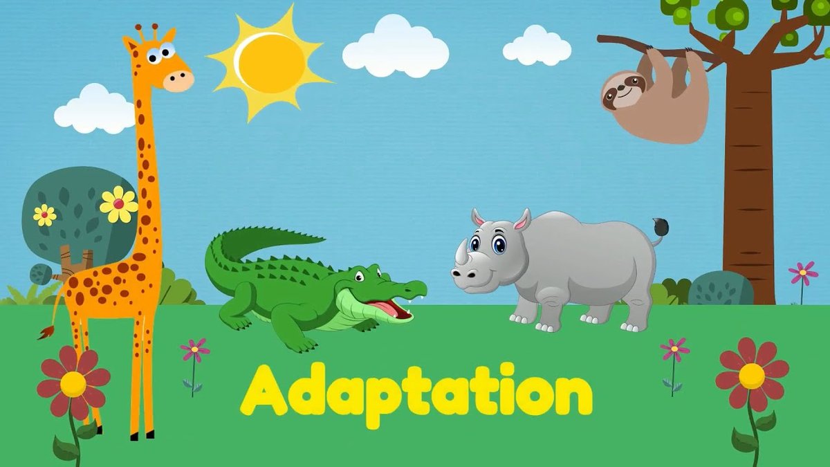 Early Adaptations & Interpretations of Poohs World Shaped Its Perception
