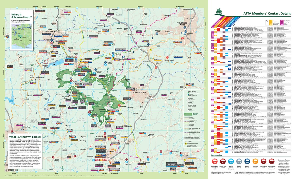The Real-Life Roots of Christopher Robins Ashdown Forest Pooh